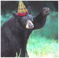 Bear and hat.jpg